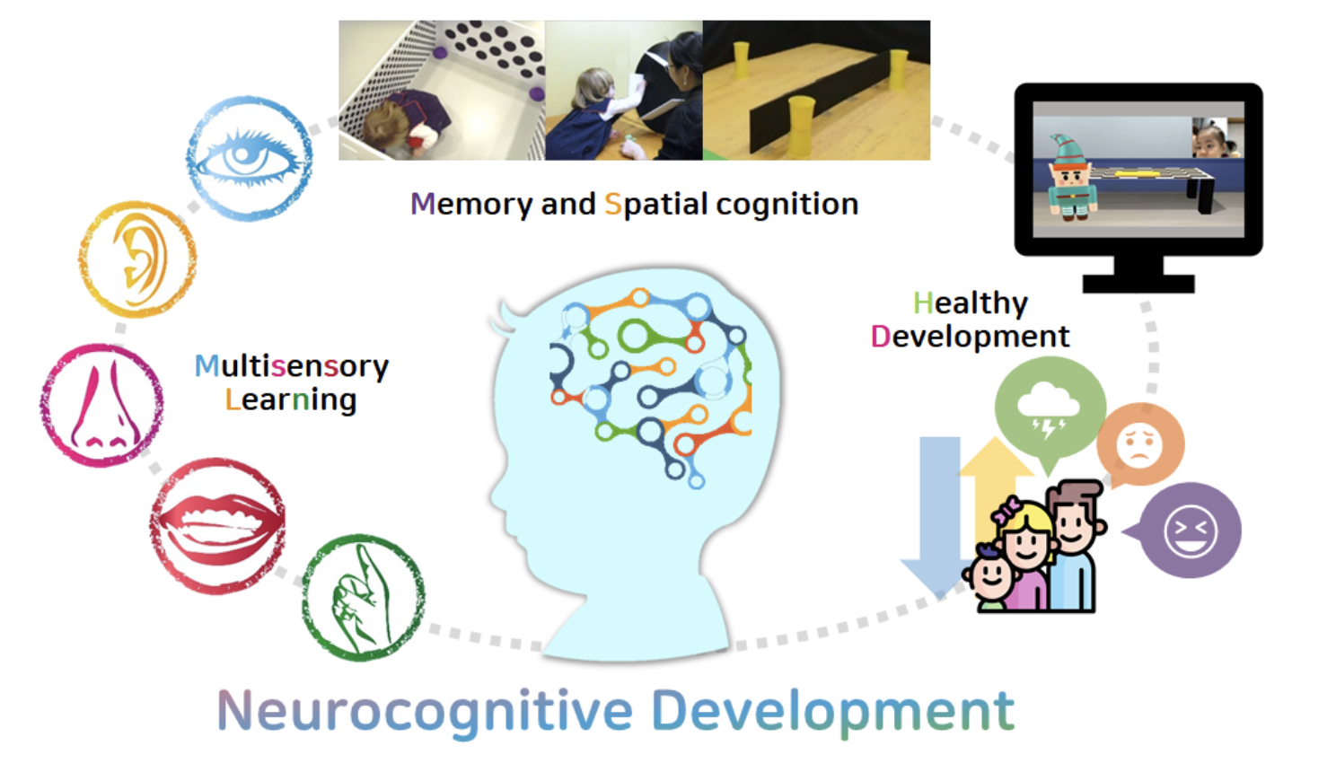 Neurocognitive Development