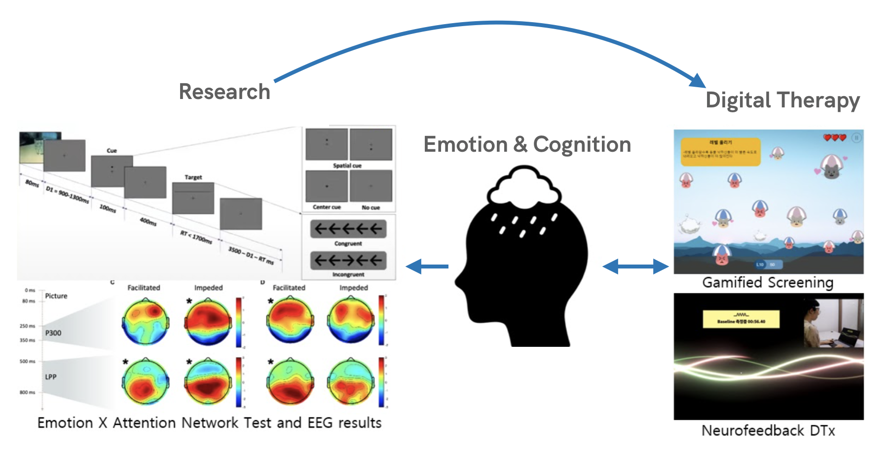 Emotion-Cognition Interaction